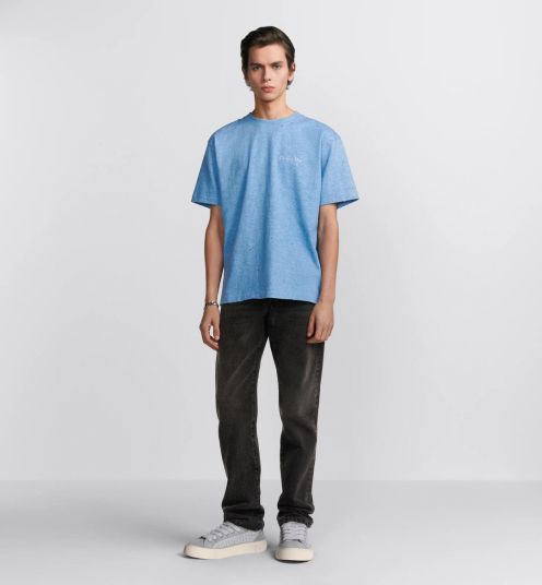 メンズ ディオール tシャツスーパーコピー Tシャツ 純綿 トップス 短袖 ゆったり プリント 柔らかい ブルー