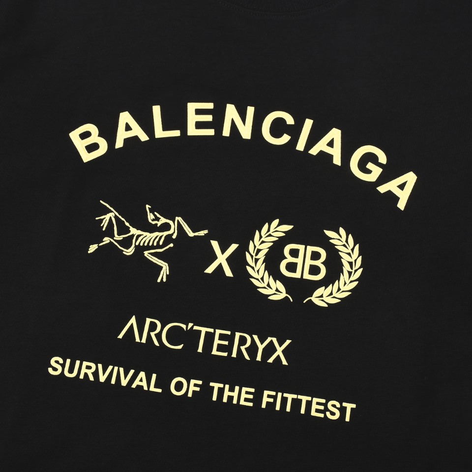 arc teryx t シャツ偽物 半袖 無地 文字プリント Tシャツ 純綿 ファッション 2色可選 ブラック_3