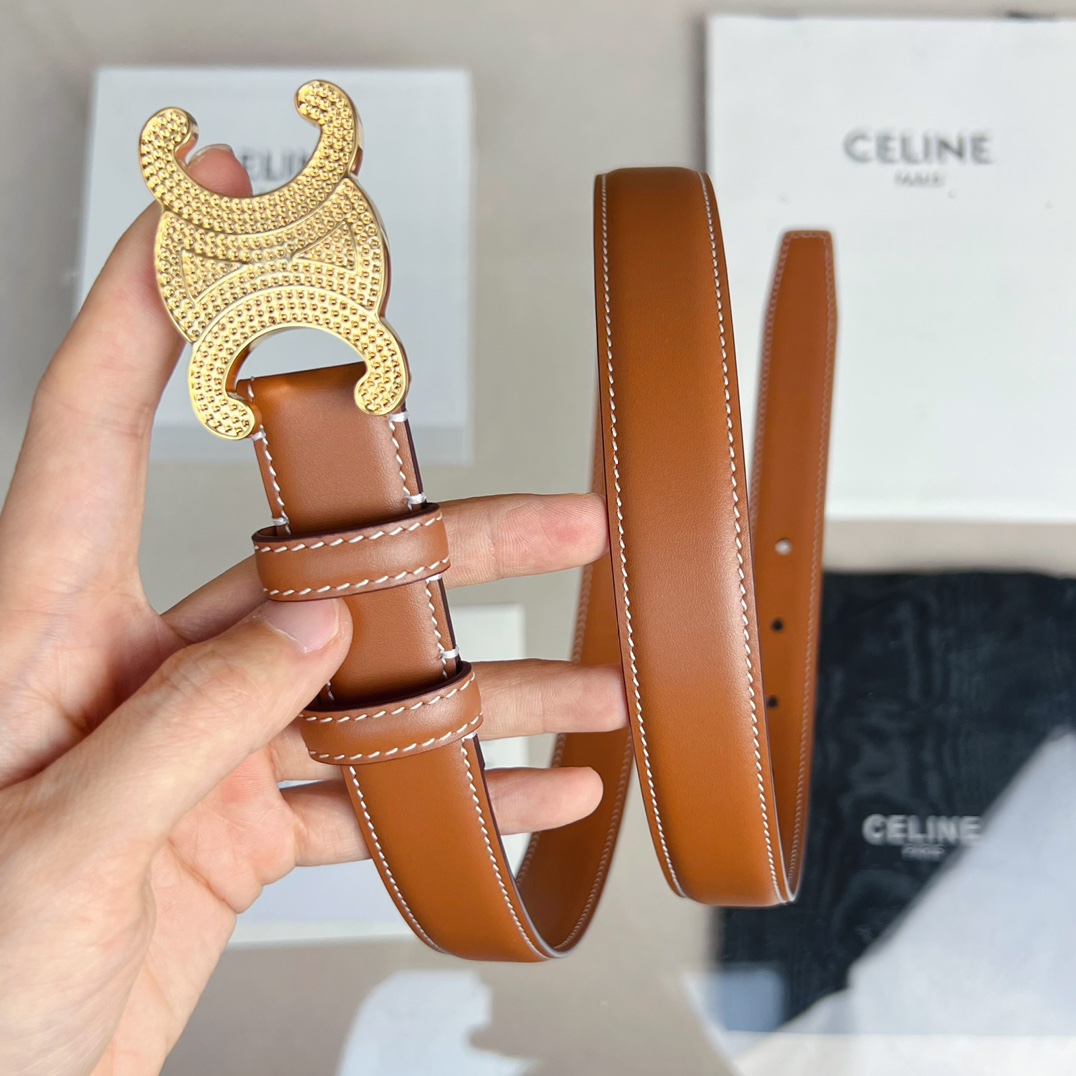 驚きの破格値人気のセリーヌイタリアセリーヌn級品　輸入牛革_6