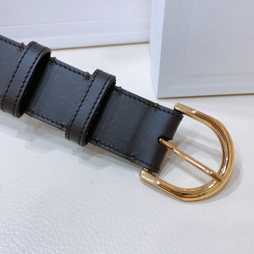 セリーヌ ベルトバッグコピー 牛革 細ベルト レディース ロゴプリント レザー 人気 パンチング 調整可 ゴールドバックル ブラック_3