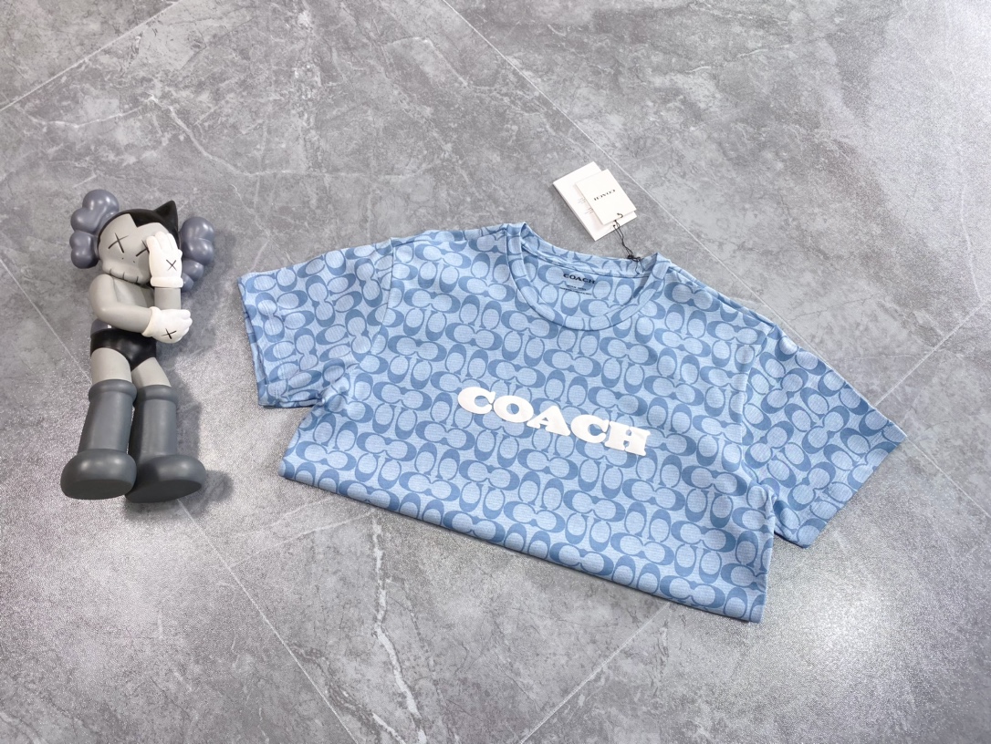 洗練された印象 春冬新登場のメンズ コーチtシャツスーパーコピー_5