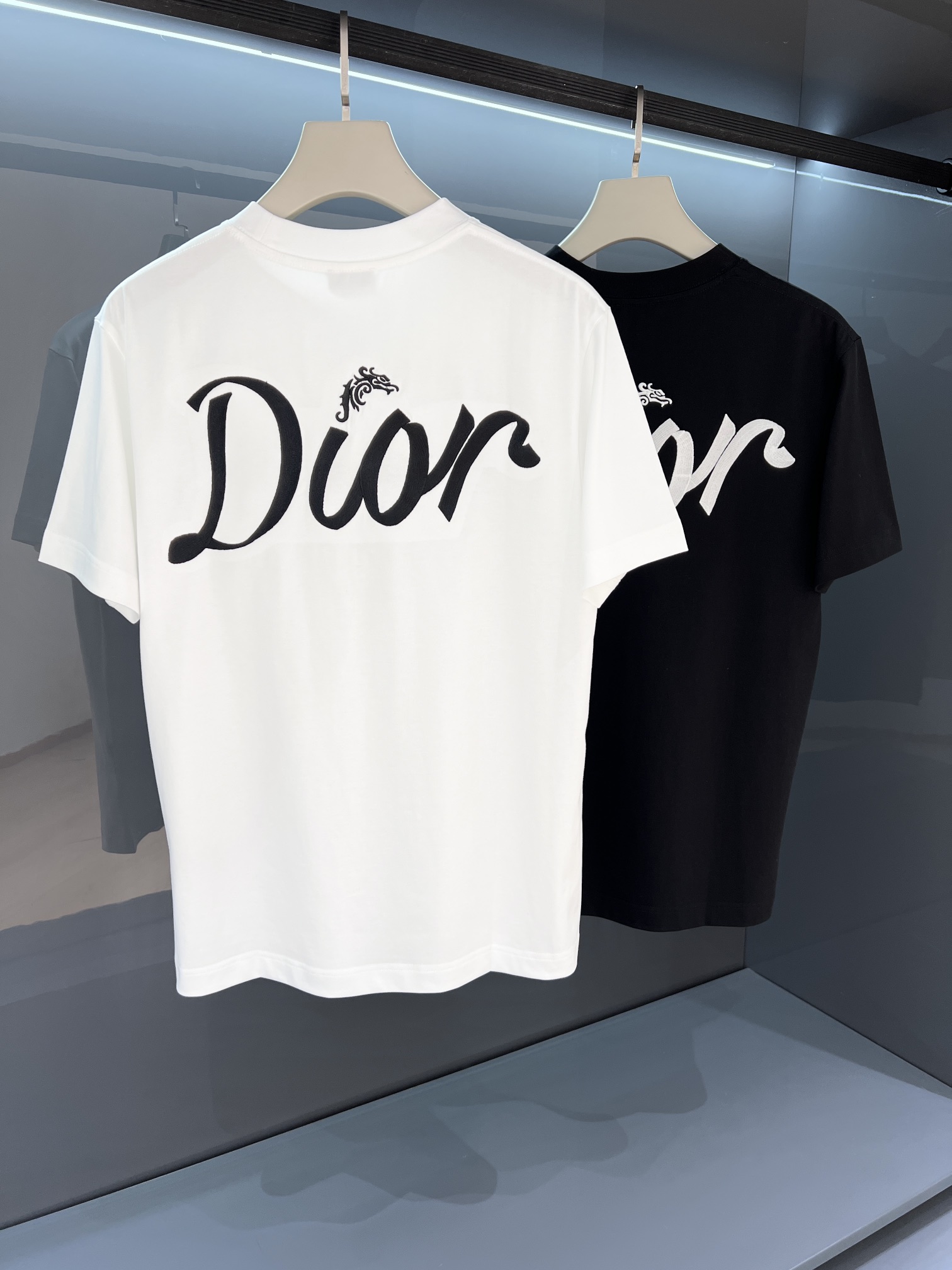 抜群な存在感 ディオールtシャツ新作偽物 おしゃれ ゆったりとしたシルエット_2