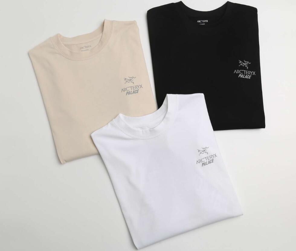 アークテリクス アンゾ t シャツコピー 長袖 シンプル 人気商品 Tシャツ トップス 3色可選