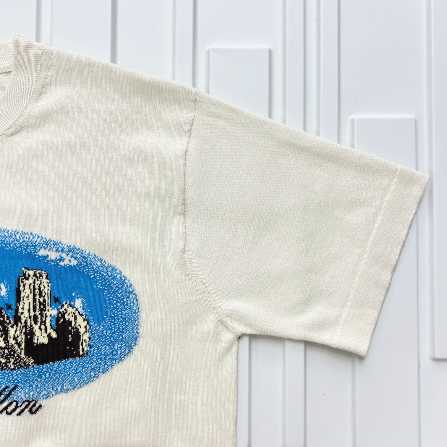 大人気 ルイヴィトンtシャツ メンズ偽物 プリント トップス 半袖  純綿 触り心地が良い ホワイト_6
