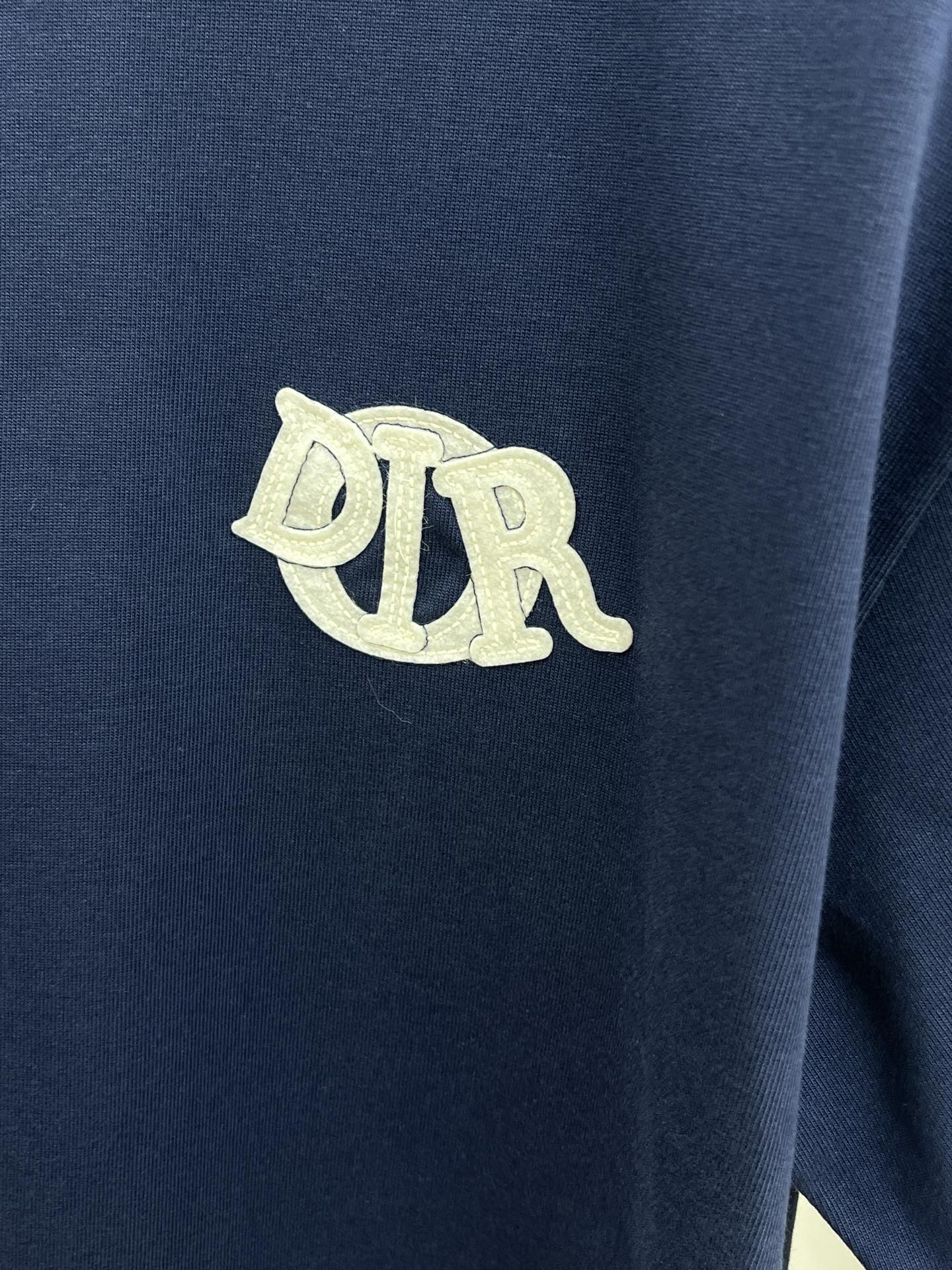 藤原聡 ディオールtシャツ激安通販 純綿 トップス 短袖 ゆったり プリント ロゴ刺繍 ブルー_4