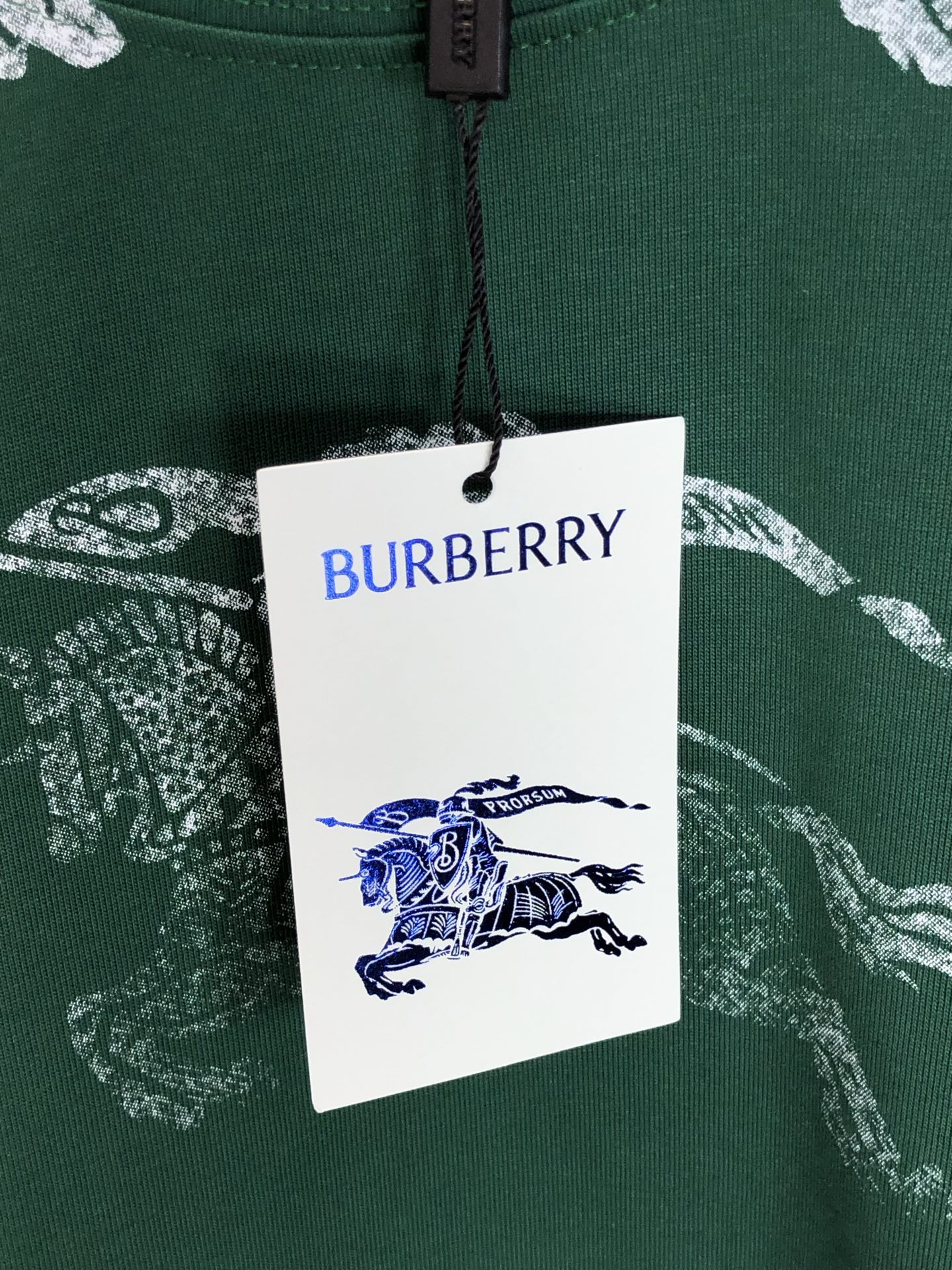 burberry ロング t シャツコピー プリント 純綿 トップス ゆったり 上質 シンプル グリーン_4